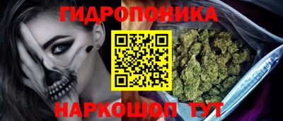 гидра Кимры