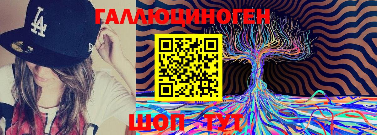 Псилоцибиновые грибы Magic Shrooms  Вход с VPN  Псилоцибиновые грибы Magic Shrooms  цены   Хасавюрт 