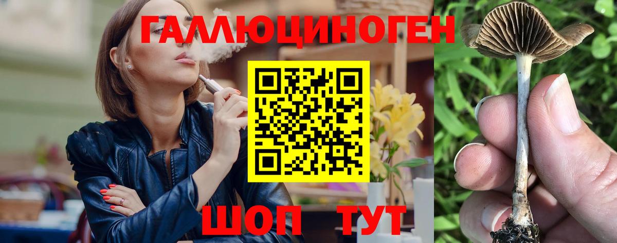Галлюциногенные грибы Psilocybine cubensis Хасавюрт